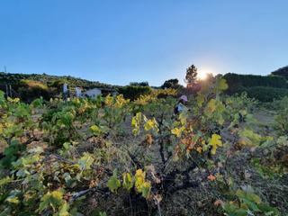 Finca rústica a Malpartida de Plasencia