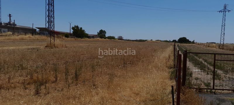 Foto 2bb8281d-13a6-4a88-84f6-1065ceaebe85. Terreny residencial a Moraleja