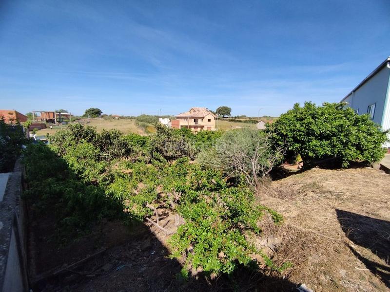 Foto 59293471-fdbb-415d-9687-ed6f9ec37ff8. Bâtiment à usage industriel dans Montehermoso