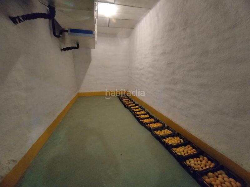 Foto 0527ed5a-2d00-4a87-a430-3b1bf75ef599. Nau industrial a Montehermoso