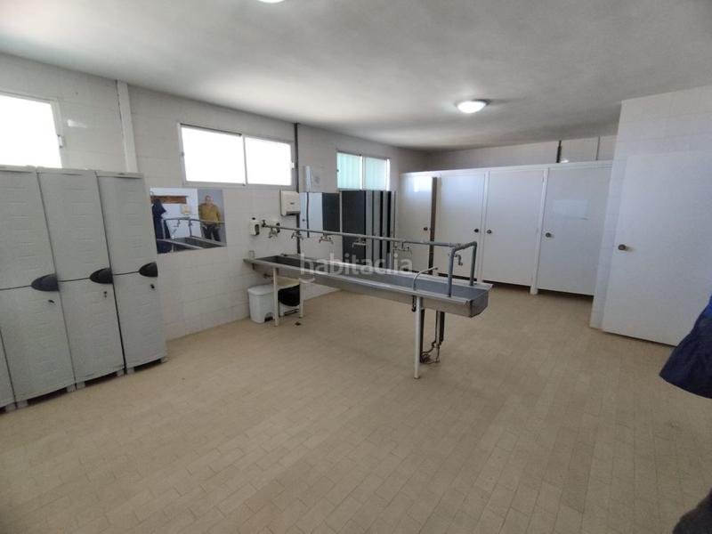 Foto 63c0b02d-b353-4240-a9a9-3fd5dd67bfe3. Nau industrial a Montehermoso