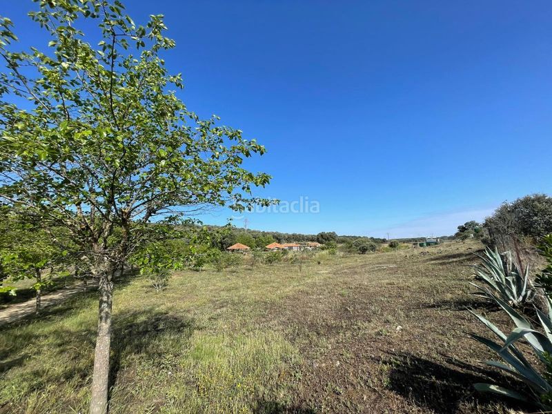 Foto 0b42b683-56c5-432b-97c4-54ab85478ca7. Finca rústica a Malpartida de Plasencia