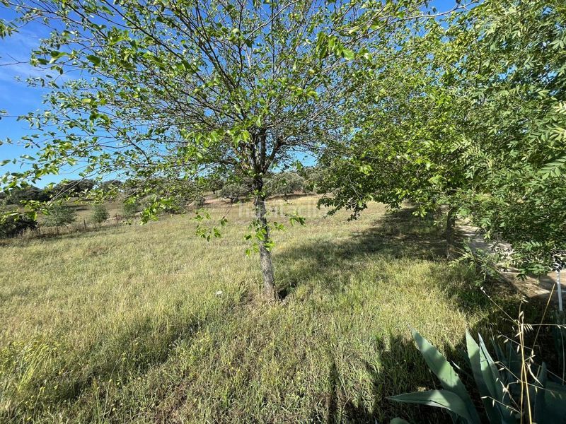 Foto 64636ae8-ba20-4664-ad69-c0393b78c0d3. Finca rústica a Malpartida de Plasencia