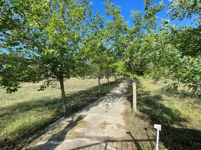 Foto e0397893-b004-4855-9681-2ff2502837f4. Finca rústica a Malpartida de Plasencia