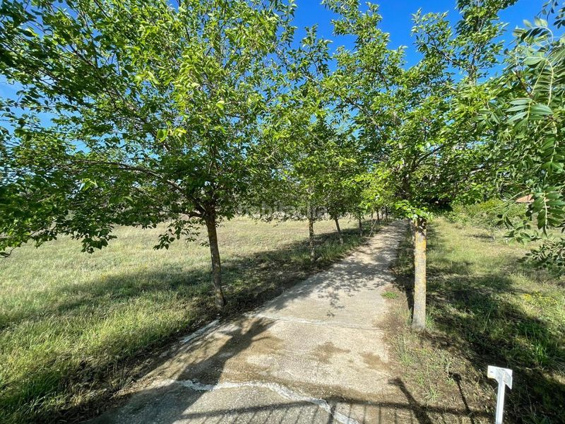 Foto e306b165-d324-49cb-b251-20d2465c6645. Finca rústica a Malpartida de Plasencia