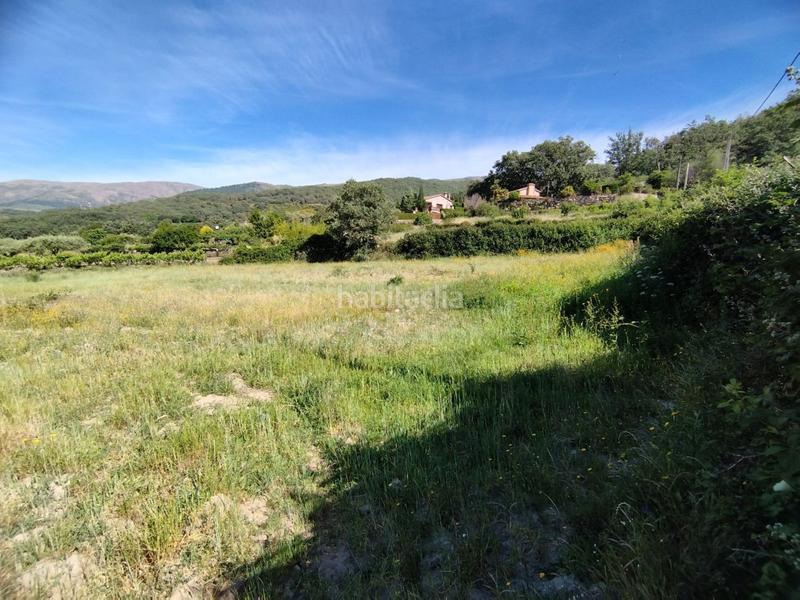 Foto 02dcd9a5-f0f7-4921-af91-dd9e8c399e33. Rural plot in Jarandilla de la Vera