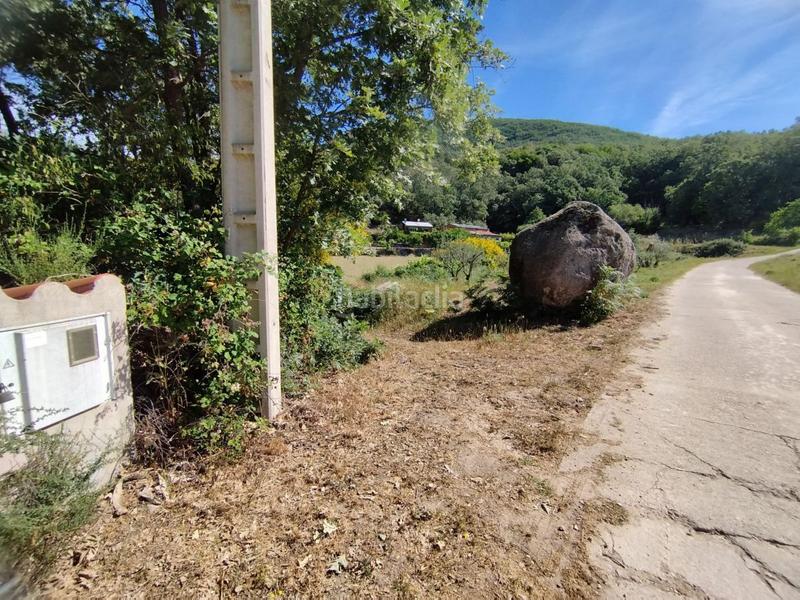 Foto 0d9ef8f0-dc33-4cd0-aa30-755d68216e69. Rural plot in Jarandilla de la Vera