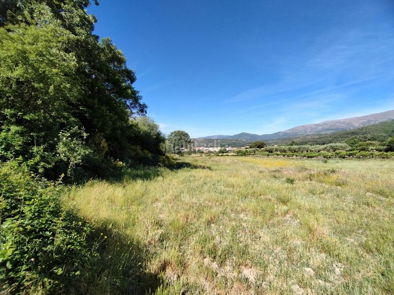 Foto 46ba35d8-8996-40ca-a325-910d032292f3. Rural plot in Jarandilla de la Vera