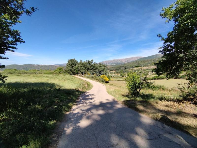 Foto 7195a992-564c-480b-bd3d-ba777bb3d40f. Rural plot in Jarandilla de la Vera