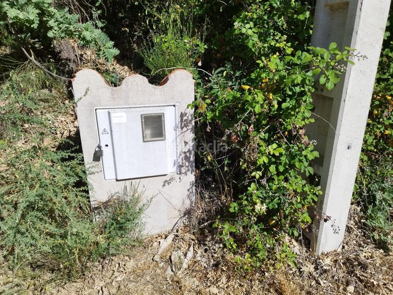 Foto b6569ad9-23e6-4dd2-afae-0c3a8e86c24e. Rural plot in Jarandilla de la Vera