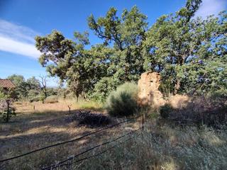 Rural plot in Jarandilla de la Vera