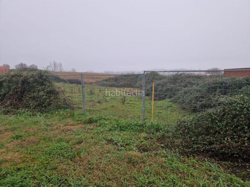 Foto 14325cf6-81df-49a5-b28d-39460696dd6b. Terrain résidentiel dans Carcaboso