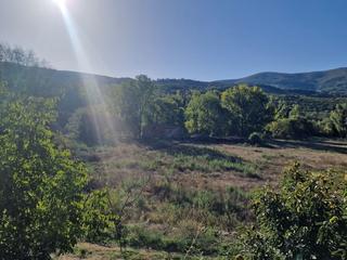 Finca rústica a Torno (El)