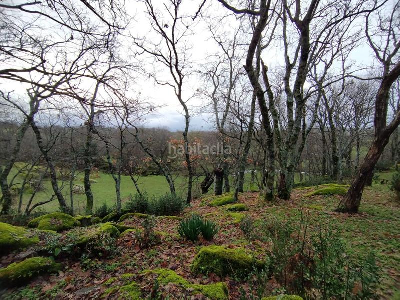 Foto 17569992-8168-4fd3-8018-60814ff285dd. Finca rústica a Gargüera