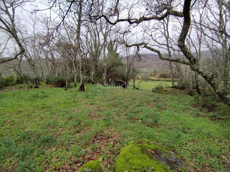 Foto 4063ff60-ca90-4ba9-b112-4b5d62edd96c. Finca rústica a Gargüera