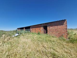 Propriété  Carretera ex-108. Oportunidad única terreno rústico en venta en galisteo cáceres