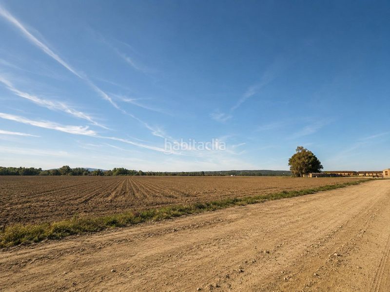 Foto 3c3b3bb3-2cf3-4a96-923d-f29170884d3c. Finca rústica a Coria
