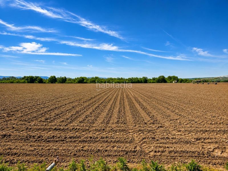 Foto f7e4bf10-7c35-4191-ab0b-102975e06c05. Finca rústica a Coria