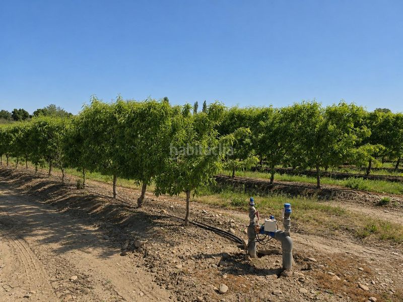 Foto 04989c4a-ce0f-4871-8a9b-a13364fa7d86. Finca rústica a carretera carretera galisteo a Torrejoncillo