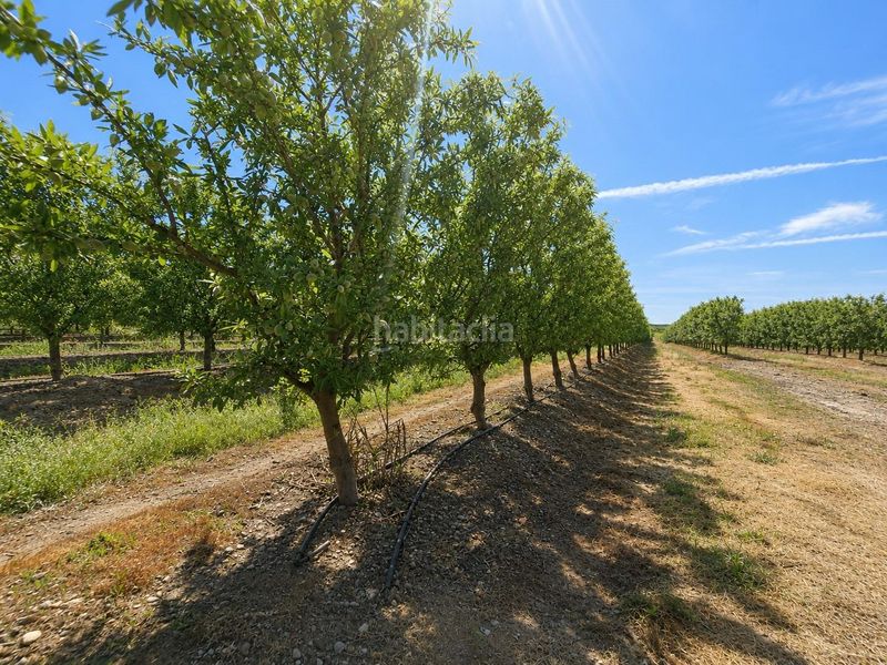 Foto 40e412c1-b19f-4044-b410-842543a1966b. Finca rústica a carretera carretera galisteo a Torrejoncillo