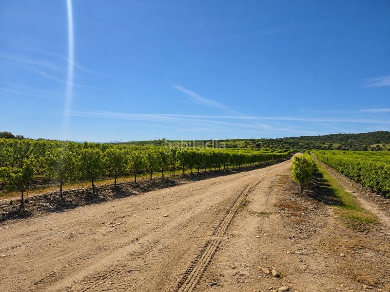 Foto 4a66bef2-ca9e-492d-8ab8-8221a629d024. Finca rústica a carretera carretera galisteo a Torrejoncillo