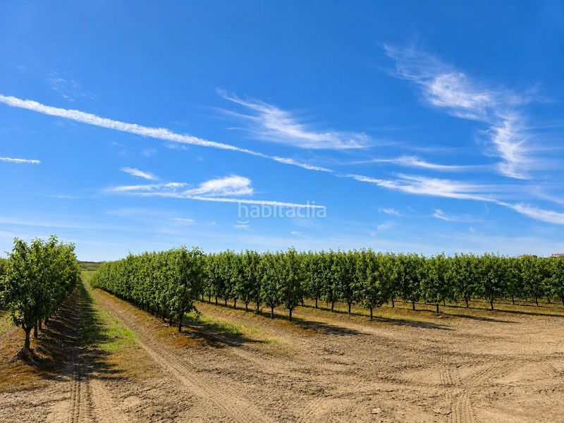 Foto 52f0b6e1-5834-4283-b590-b56923748b41. Finca rústica a carretera carretera galisteo a Torrejoncillo
