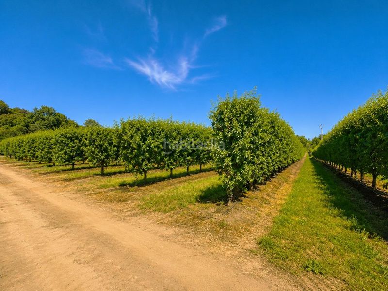 Foto c70bbce7-3024-4d3d-a541-e79f105c40e8. Finca rústica a carretera carretera galisteo a Torrejoncillo