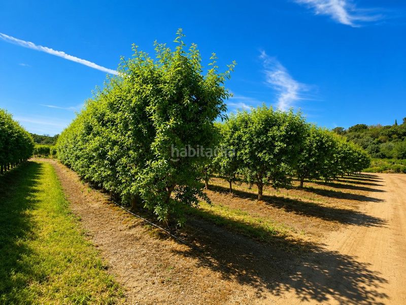 Foto f253042a-3870-4caa-919e-7045e0a92e45. Finca rústica a carretera carretera galisteo a Torrejoncillo