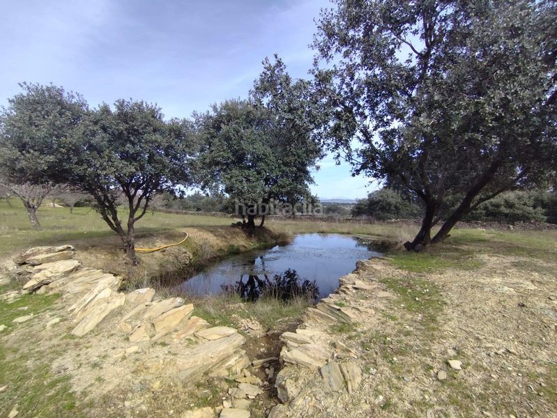 Foto d268fb3a-3514-4a78-ae29-eca7389052eb. Masia amb aparcament piscina a Malpartida de Plasencia
