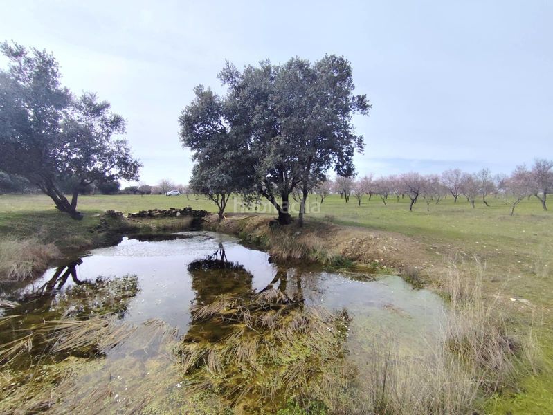 Foto d8674e6c-d39f-44f9-87d5-ab2ae6d67915. Masia amb aparcament piscina a Malpartida de Plasencia