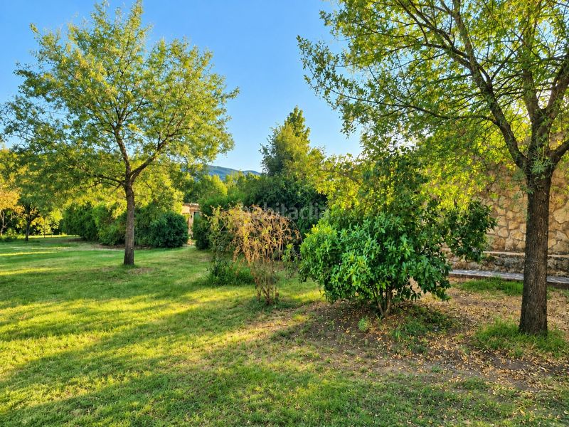 Foto 30f0aad8-1313-4c78-908e-e7258e31acbb. Chalet magnífico chalet en venta, carretera soria plasencia. paraje navamolino en Casas del Castañar