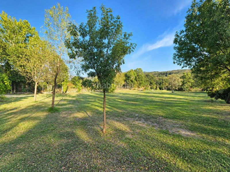Foto d93e645d-849a-4e86-a7b0-bb133f6ebd79. Chalet magnífico chalet en venta, carretera soria plasencia. paraje navamolino en Casas del Castañar