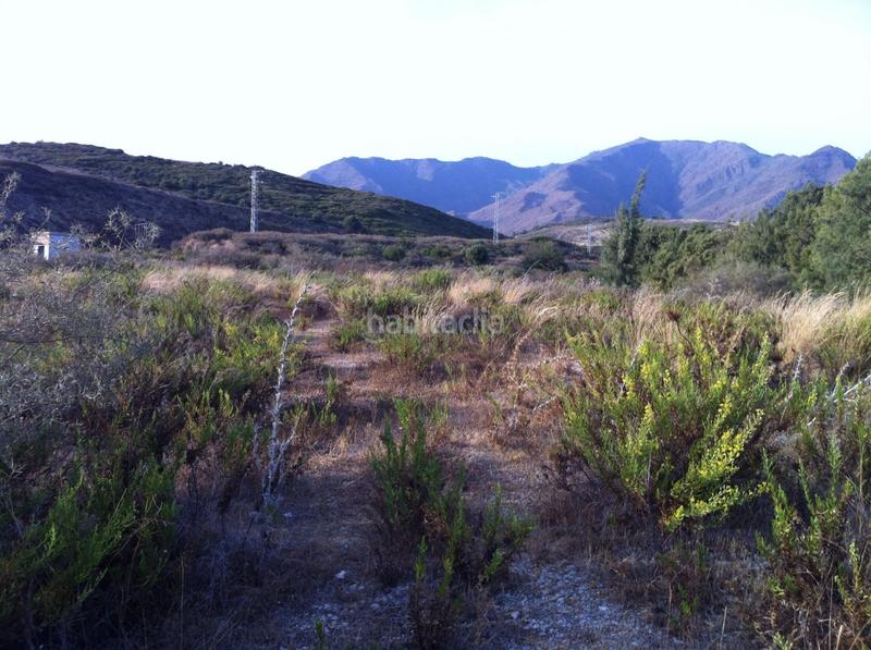 Foto 19c07150-c751-40e4-998f-3b4f95f05646. Terrain résidentiel dans Centro Estepona