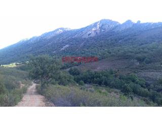 Mas à Castañar de Ibor. Finca rústica de 840 ha, ideal para uso cinegético muflones de m