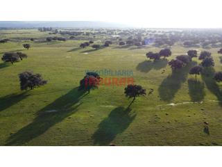 Masia a Saucedilla. Finca ganadera de 206ha en saucedilla