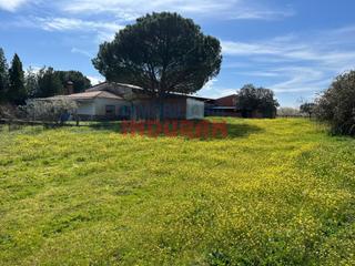 Casa a Unnamed road. Finca rústica de regadío de 10.000 m2 con una nave y vivienda en