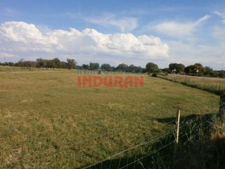 Masia a Casatejada. Finca ganadera de 136 ha, poblada de encinas, con un cebadero de
