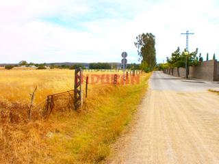 Masia a Navalmoral de la Mata. Finca situada a 900 m del municipio y a 100 m del suelo urbano i