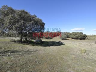 Masia a Villar del Pedroso. Finca ganadera junto a la carretera en villar del pedroso cácere