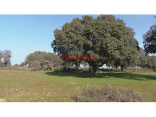 Masia a Valdehúncar. Finca rústica de 10 ha con encinas, olivos, higueras, tres charc