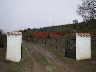 Mas à Calle flor 1. Finca ganadera de 45 ha en valdelacasa de tajo, cáceres
