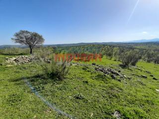 Casa in Valdelacasa de Tajo. Finca ganadera junto al rio tajo.