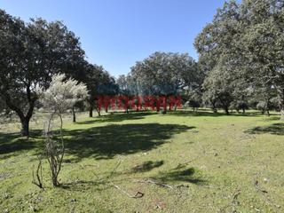 Masia a Valdehúncar. 4 hectáreas de terreno formado por la suma de la superficie 5 fi