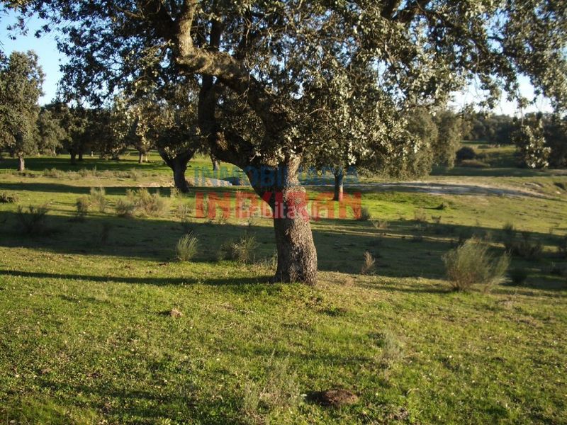 Foto 3d96d4c6-f044-48f4-b1f0-b240929af94b. Casa a Valdehúncar