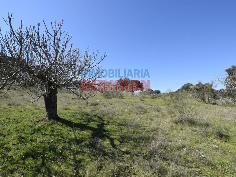 Foto 465dc4a1-8384-44ae-b2d3-cafba88bde50. Casa a Valdehúncar