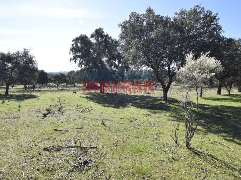 Foto 5b502da8-9888-4b4d-b5d4-09253c585a75. Casa a Valdehúncar