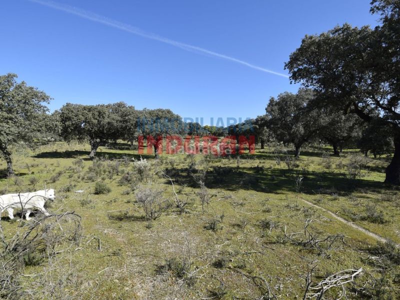 Foto 720c6136-5e62-4b34-a38b-e9417e385a2a. Casa a Valdehúncar