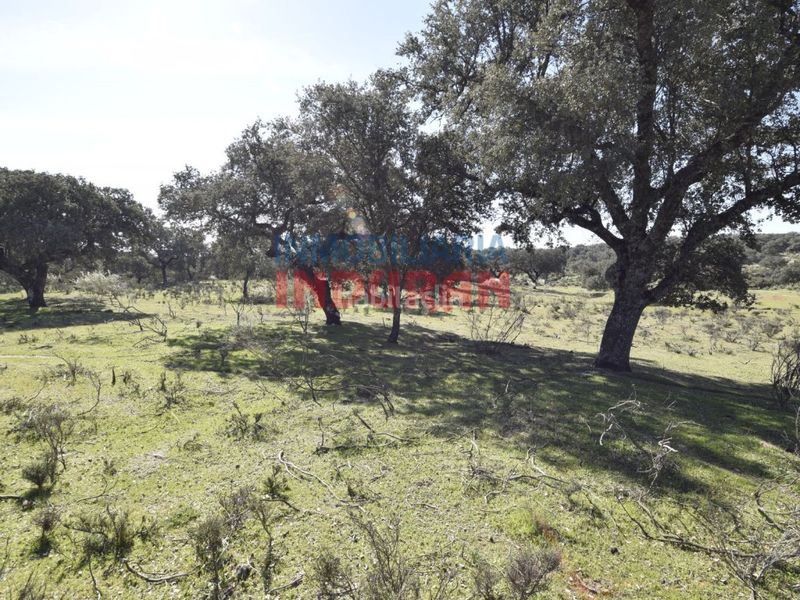 Foto 76a777f5-51f3-49bf-b87e-b70a3b725f5a. Casa a Valdehúncar