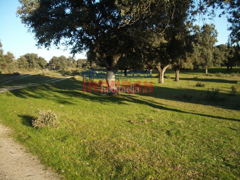 Foto bc2ae811-9ce2-4081-8e9c-d84d2ab812fe. Casa a Valdehúncar