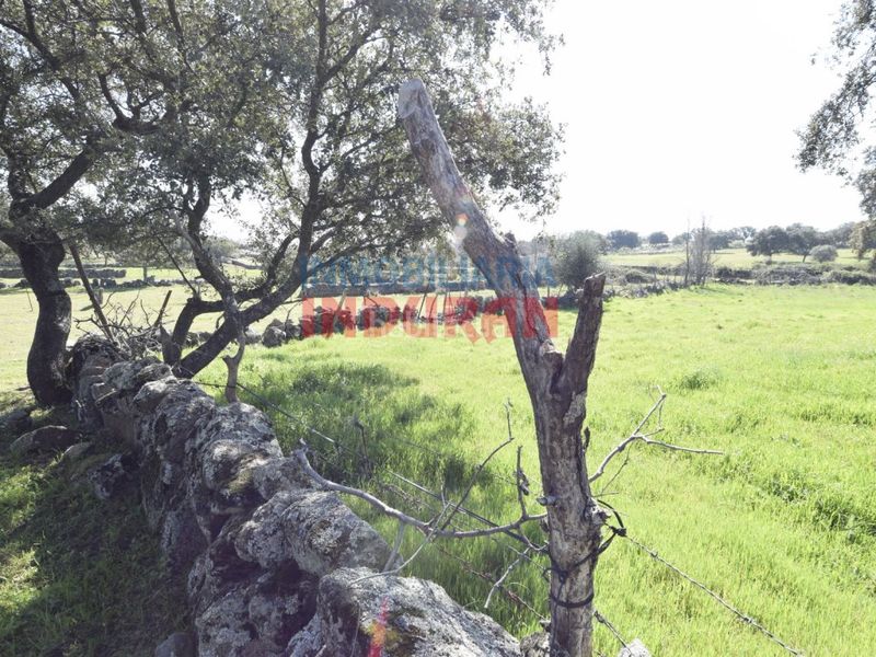 Foto c63a5f66-4f09-4915-9848-5e9cd887982e. Casa a Valdehúncar